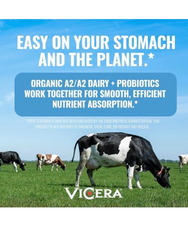 A2 Protein Powder Vanilla Creme 25 G Protein per Serving Organic A2/A2 Whey Casein Blend with Probiotics and Celtic Sea Salt Gluten Free Workout Supplement Non GMO 20 Servings 27.4 Oz Vanilla 1.71 Pound (Pack of 1) - Buy Online on GoSupps.com