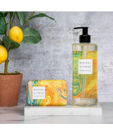 Mistral Marbles Hand Wash Citrus 16.9 fl oz Citrus 16.9 Fl Oz (Pack of 1) - Buy Online on GoSupps.com