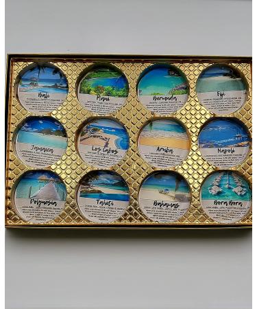 Spa Pure Aromatherapy Shower Bombs | Destination Shower Steamers | 12 Count All Natural Tablets for Men and Women | Rejuvenating New Scents | Bath Melts | 20.0oz Pack - Buy Online on GoSupps.com