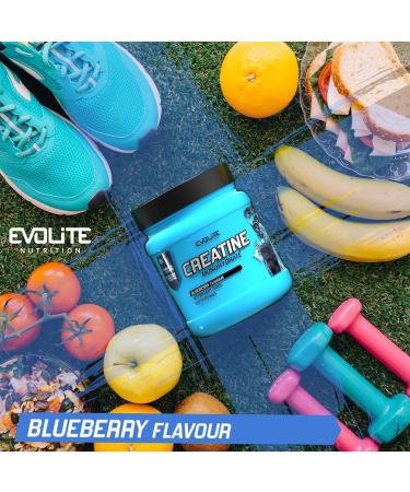 Evolite Nutrition Creatine Monohydrate 500g - Blueberry Flavor Creatine Powder for Pre Workout Boost - Premium Quality Creatine with Taurine - Buy Online on GoSupps.com
