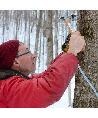 Maple Valley Master Cleanse 10 Day Detox Kit - Organic Maple Syrup, 64 oz Glass Bottle, Master Cleanse Coach Book by Peter Glickman - Buy Online on GoSupps.com