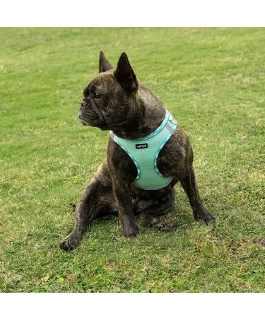AMTOR Reflective Dog Harness & Leash Set for Small Dogs/Cats - Adjustable & No Pull - Chest Size 13.5-16.0 - Light Green - Buy Online on GoSupps.com