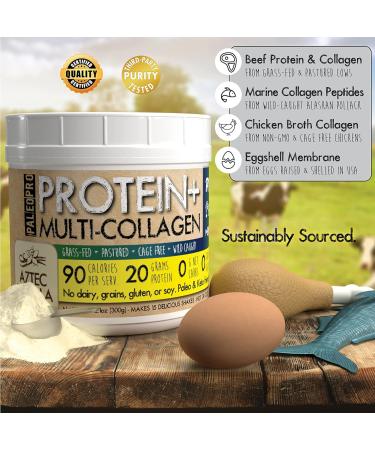 PaleoPro Protein+ Multi-Collagen (Ancient Cacao) Ancient Cacao 11.99 Ounce (Pack of 1) - Buy Online on GoSupps.com