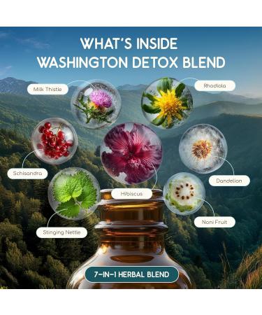 HerbEra Washington Herbal Detox Blend - USDA Organic Extract Made in USA | Immune & Liver Support Liquid Drops | Dandelion Root Milk Thistle Noni Rhodiola Schisandra | 2 fl oz - Buy Online on GoSupps.com