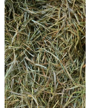 Second Cut Timothy Rabbit Hay from Elmsview Farms - 10lb Box of Small Pet Timothy Hay Mix
