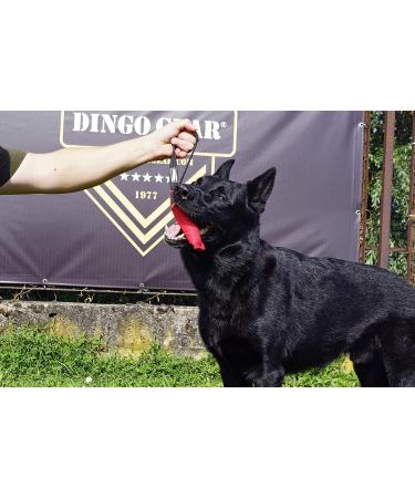 Dingo Gear Cotton Nylon Bite Sausage - Dog Training IGP IPO Obedience Protection - 15x5 cm Blue Handle (S00060) - Buy Online on GoSupps.com