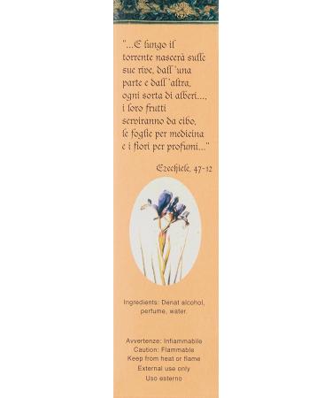 Zenzero Eau de Parfum Spray 1.69 Fl Oz - Buy Online on GoSupps.com