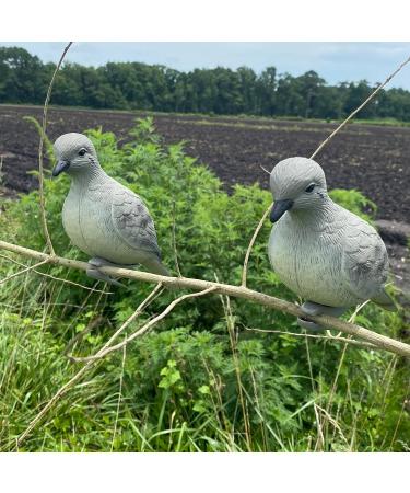 HQ Outfitters Dove Decoy 4 Pack - Realistic Hunting Decoys - Buy Online on GoSupps.com