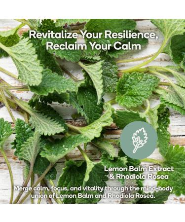 Calm - Natural Stress Relief & Mood Support Supplement - Ashwagandha Lemon Balm L-Theanine - 60 Vegan Capsules (Calm) Calm 60 Count (Pack of 1) - Buy Online on GoSupps.com