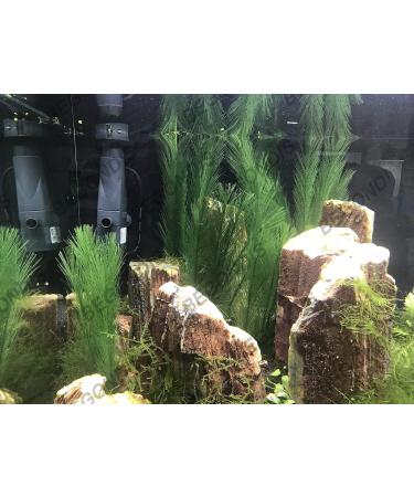 Begondis Artificial Aquarium Plants - Silk Green Aquatic Decor Safe for Fish & Pets (18cm) - International Shipping Available - Buy Online on GoSupps.com