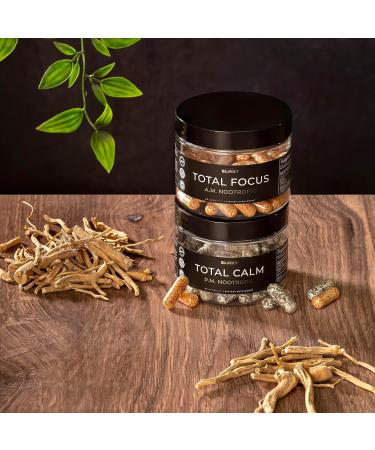 AMPM Nootropic Total Focus + Calm 9X Strength w. Caffeine L-Theanine Alpha GPC L-Tyrosine Ashwagandha - X-Release Energy Pills Nootropics Brain Support Supplements for Memory and Focus Supplement - Buy Online on GoSupps.com