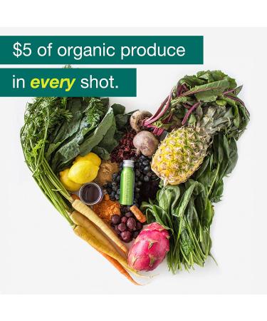 Organic Green Superfood Shot - Daily 2oz Drink with Fruits, Vegetables, Kale - Vegan & Gluten-Free (6 Pack) - Buy Online on GoSupps.com