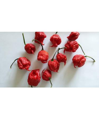 SEMI PEPERONCINI-Carolina Reaper HP22B-BIG Mama Mustard-BHUT JOLOKIA RED - Buy Online on GoSupps.com