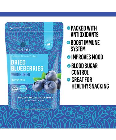 Bulk Dried Blueberries - Unsweetened, Non-GMO, 1 lb - Whole Dry Blue Berries - Dehydrated & All Natural - Buy Online on GoSupps.com