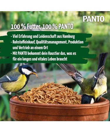 Premium Panto Mealworms 900g - High Protein Wild Bird Feed Ideal for Birds Rodents Hedgehogs & Poultry - Buy Online on GoSupps.com