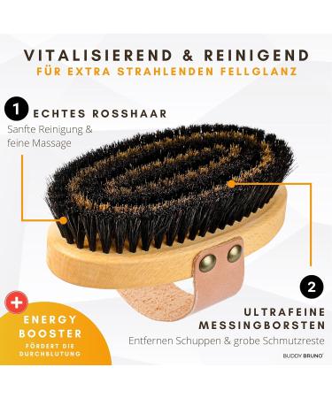 Buddy Bruno Dog Brush for Short Hair - 100% Natural Bristles | Premium Fur Care for Dogs & Cats | Includes Brush Cleaner | Made in DE - Buy Online on GoSupps.com