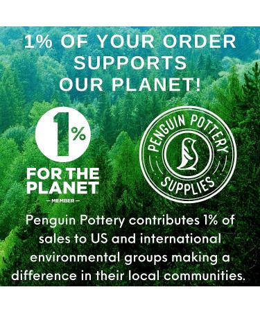 Penguin Pottery Clear Glaze for Cone 5-6 Mid Fire & High Fire Clay - 1 Pint (16 oz) - Buy Online on GoSupps.com
