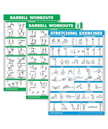Palace Learning Barbell-Workout-Poster Band 1 & 2 + Stretch exercise table-set with 3 posters (laminated 45.7 x 61 cm) 3 pieces laminated 18 "x 24"