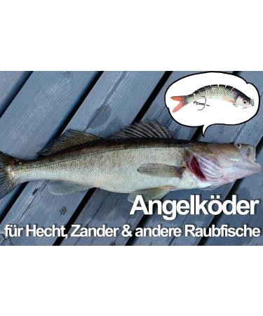 Buy DRS PRIOstahl Wobbler Jerkbait 150mm - Premium Roach Lure for Pike Perch & Zander | International Shipping Available - Buy Online on GoSupps.com