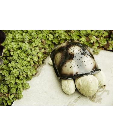 Cloud B Twilight Turtle Constellation Nightlight Mocha - Buy Online on GoSupps.com