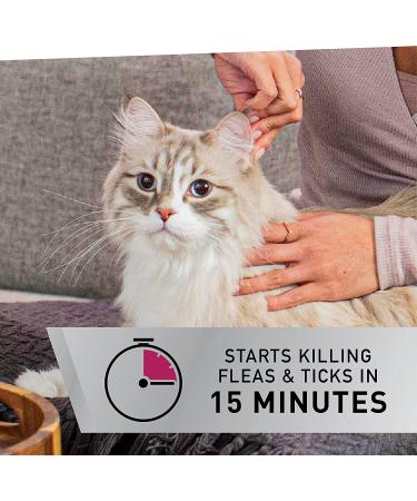 NEXTSTAR Flea & Tick Topical Treatment for Cats 3.5 lbs+, Fast-Acting, 3-Month Supply - Buy Online on GoSupps.com
