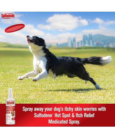 Sulfodene Hot Spot & Itch Relief Dog Spray 8 oz - Soothes Irritated Skin - Buy Online on GoSupps.com
