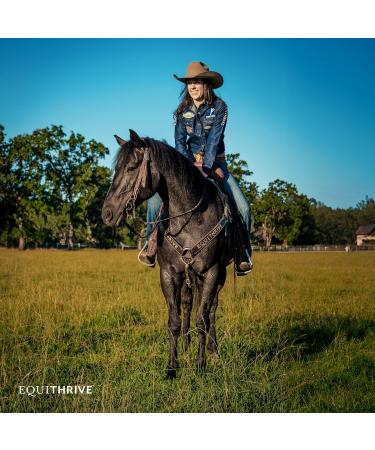 Equithrive Classic Joint Supplement Pellets for Horses - Glucosamine Chondroitin Hyaluronic Acid & MSM - 10 lbs - Optimal Joint Health for Senior Horses - Buy Online on GoSupps.com