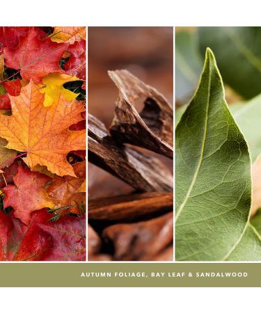 Yankee Candle Autumn Nature Walk Large Jar Candle - 150 Hours Burn Time - Perfect Gift for Women - Buy Online on GoSupps.com