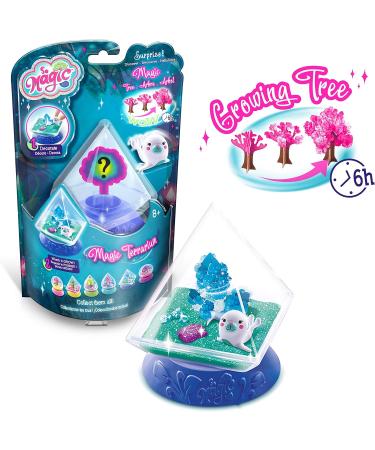 Small So Magic DIY Terrarium Kit - Buy Online on GoSupps.com