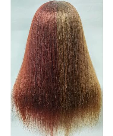 TIANYOUHAIR 22 Inch Real Human Hair Mannequin Head with Stand - Brown - Buy Online on GoSupps.com