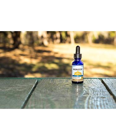 MAGNASCENT Nascent Iodine Liquid Supplement 2% Concentrated Solution - Energy Boost & Healthy Metabolism Support - 1 oz - Buy Online on GoSupps.com