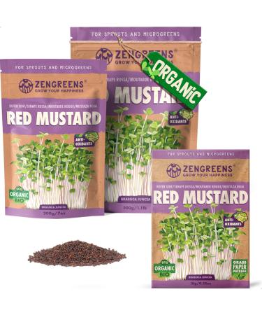 ZenGreens - Organic Red Mustard Seeds - Choose between 10g 200g and 500g - Red mustard seeds with a high g content