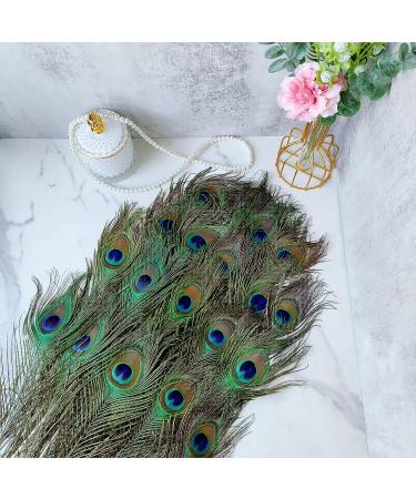 THARAHT 12pcs 10-12 inch Peacock Feathers Bulk for Crafts & Decorations - Buy Online on GoSupps.com