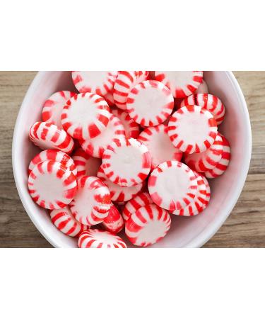 Brach's Sugar Free Peppermints Hard Candy - Individually Wrapped, 3.5 oz (Pack of 12) - Buy Online on GoSupps.com