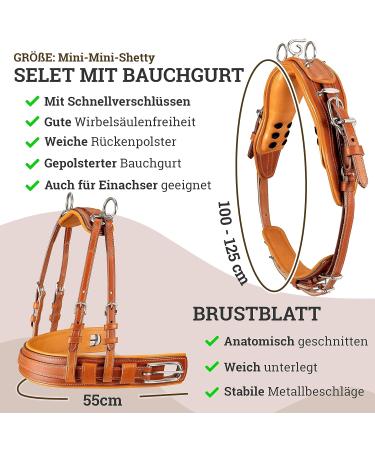 Esposita Professional Carriage Dishes for Shetty Pony & Horse | Mini to XL Cold Blood Routing - Light Brown - Buy Online on GoSupps.com