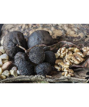 Indigo Herbs Black Walnut Powder 100g - Premium Quality Organic Superfood for Health & Wellness - Fast International Shipping - Buy Online on GoSupps.com