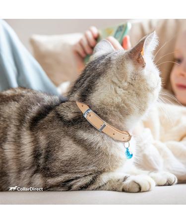 Collardirect Leather Cat Neck Safety Collar - Elastic Belt with Bell | Multiple Colors | Adjustable 15-18 cm - Buy Online on GoSupps.com