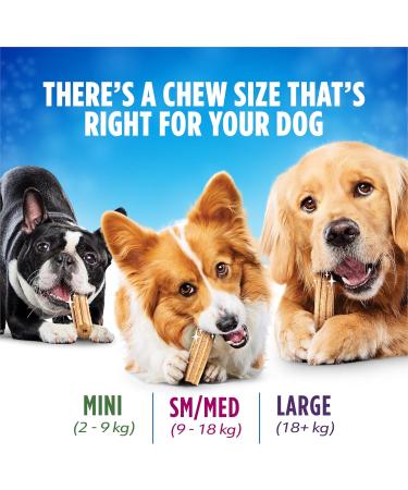 DentaLife Daily Oral Care Dog Treats for Small & Medium Breed Dogs - 507 g Pouch (1 Pack) 507 g (Pack of 1) - Buy Online on GoSupps.com