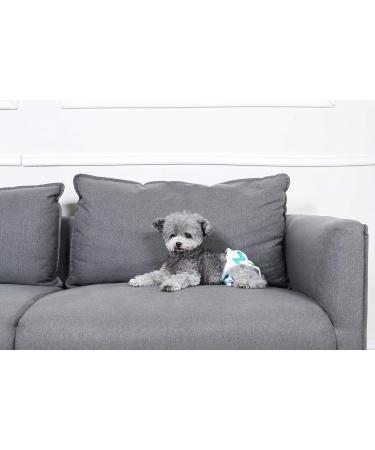 Hisprout Reusable Female Dog Diaper - Washable Durable Pet Pants | Colorful Union LL - Buy Online on GoSupps.com