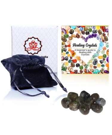 Healing Crystals India Real Crystals and Healing Stones - Healing Crystals for Beginners- Healing Stones Tumbled Crystals for Witchcraft (10 Labradorite) 10 Labradorite