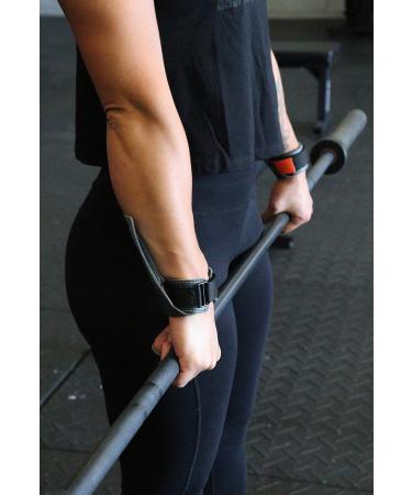 Buy Bear Complex Handles Without Holes - Small Size for Optimal Performance | International Shipping Available - Buy Online on GoSupps.com