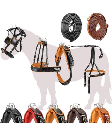 Esposita single-chipping "Professional" carriage dishes for Shetty pony and horse dishes for Minishetty to XL cold blood Routing dishes for single-bridle Mini Shetty black and bright brown
