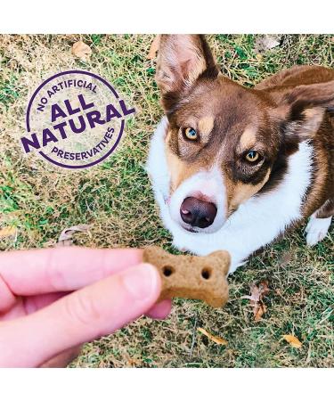 Old Mother Hubbard Classic P-Nuttier Peanut Butter Dog Treats - Small Dog Mini Training Treats 6lb - Natural & Healthy Crunchy Treats - Buy Online on GoSupps.com