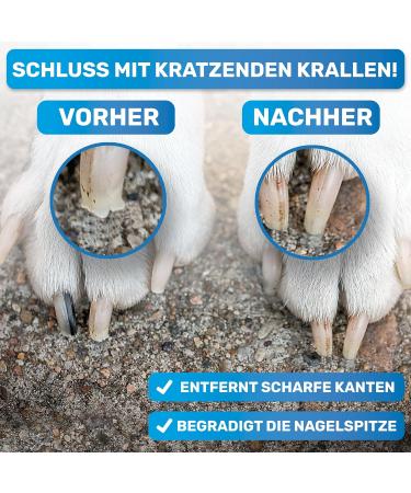 Buy Bluepet 2x Set Claw File Nail File for Optimal Pet Claw Care | Coarse & Fine for Dogs Cats & Small Animals - Buy Online on GoSupps.com