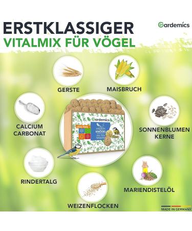 Gardemics Meisenkn del for Wild Birds | 100 Premium Bird Dumplings | 9 kg All-Year Feed for Garden Biodiversity - Buy Online on GoSupps.com