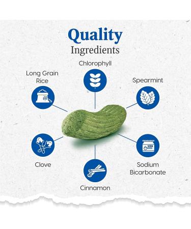 Gray Muzzle Brushless Toothpaste Dental Chews for Senior Large Breed Dogs - Vet Recommended for Plaque, Bacteria & Tartar Control | 1 Pack - Buy Online on GoSupps.com