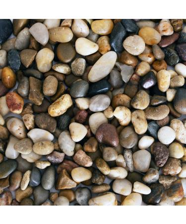 Galashield Pebbles for Plants, River Rocks, Decorative Stones for Vases, Garden Rocks Outdoor Landscaping, Polished Aquarium Gravel (2 lb Bag) 1-2 cm 2.0 Pounds