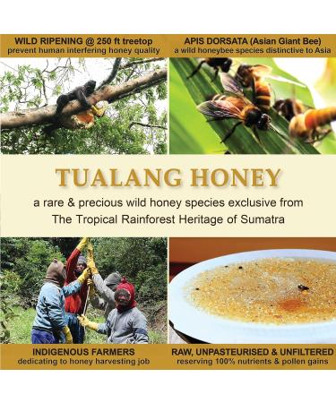 Miel Tualang 50g x 3 pots (miel noir rouge jaune) | TA 9 5+ 11 5+ | Nombre de pollens 2 4 M+ 3 2 M+ | Vari t de pollen 100+ | Cru non pasteuris non filtr  - Buy Online on GoSupps.com