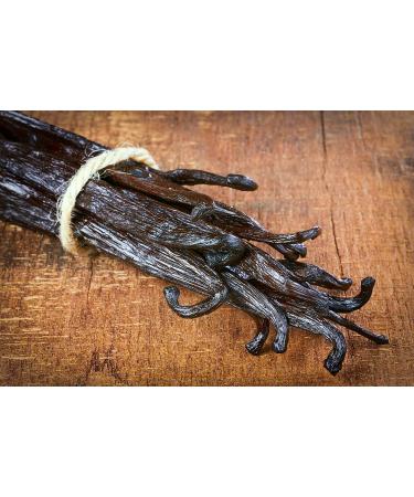 25 Grade A Madagascar Vanilla Beans for Extract & Baking - Buy Online on GoSupps.com