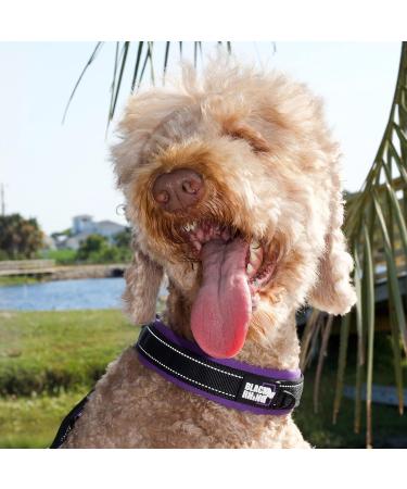 Black Rhino Comfort Collar - Ultrasoft Neoprene Padded Adjustable Dog Collar for All Breeds - Large Reflective Weatherproof - Purple/Blue & Purple/Black - Buy Online on GoSupps.com